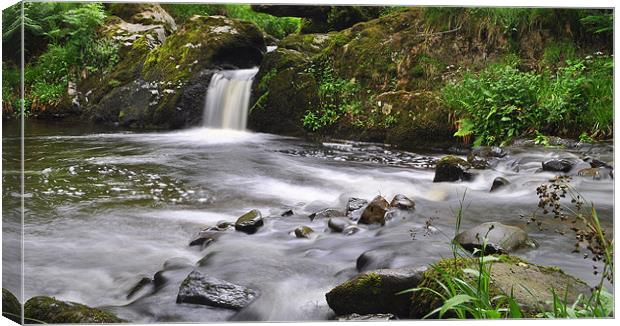 Aira Force 2 Canvas Print by Oliver Firkins