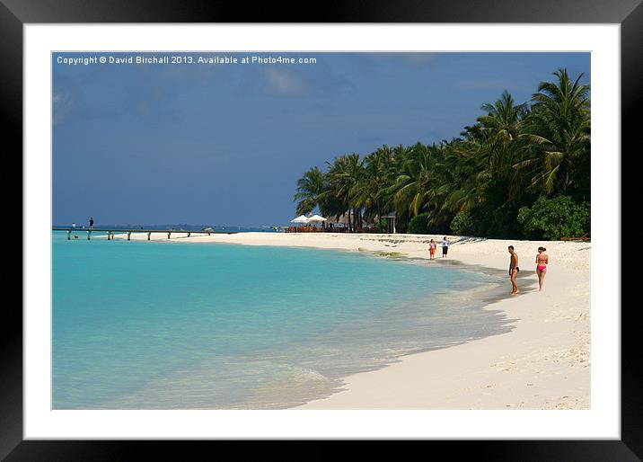 Maldives Beach Framed Mounted Print by David Birchall