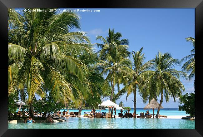 Maldives Beach Resort Framed Print by David Birchall