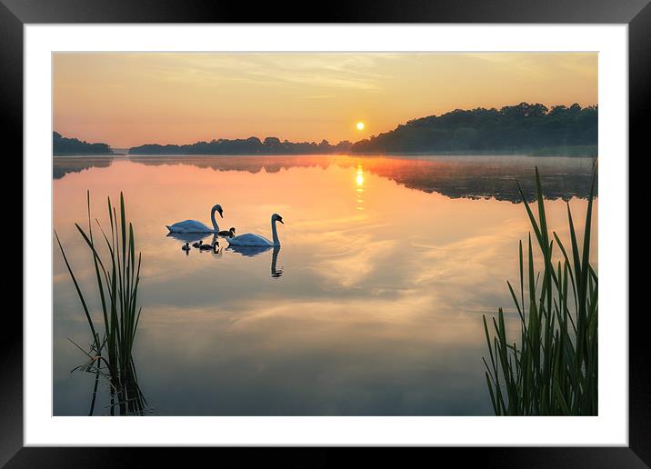 Dawn tranquility on the Norfolk Broads Framed Mounted Print by steve docwra