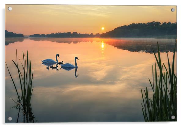 Dawn tranquility on the Norfolk Broads Acrylic by steve docwra