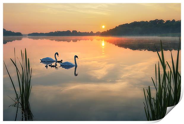 Dawn tranquility on the Norfolk Broads Print by steve docwra