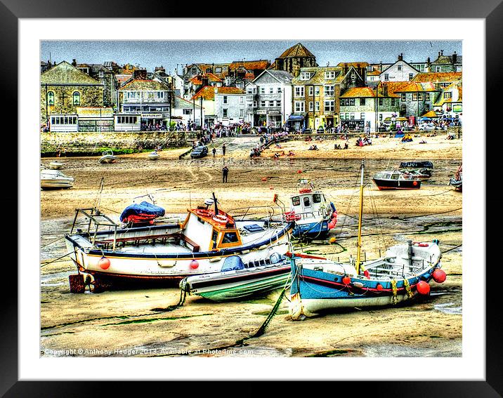 Boats in St. Ives Harbour Framed Mounted Print by Anthony Hedger