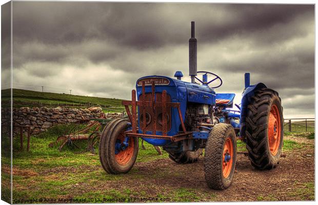 Fordson Super Dexta Tractor Canvas Print by Anne Macdonald