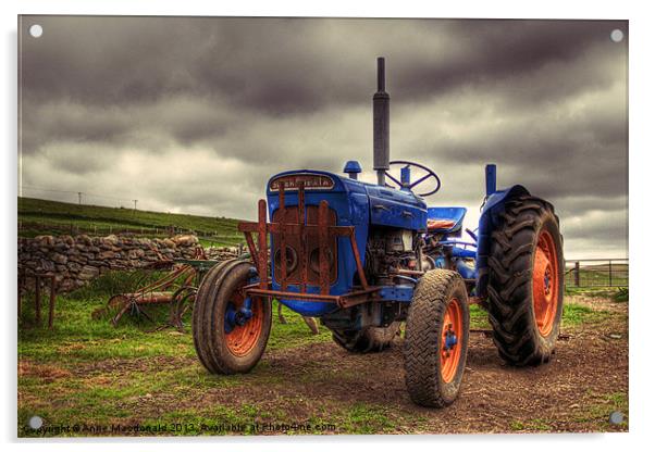 Fordson Super Dexta Tractor Acrylic by Anne Macdonald
