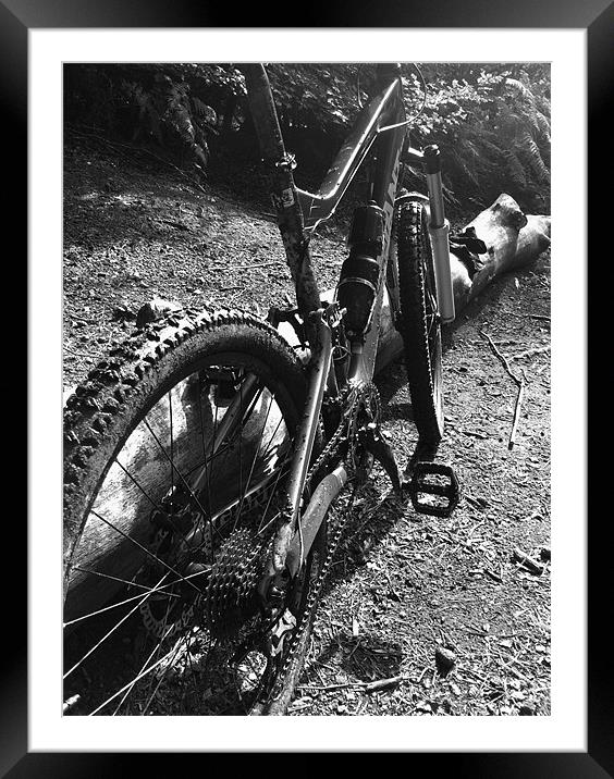 Mountain Biking Framed Mounted Print by Colin Richards