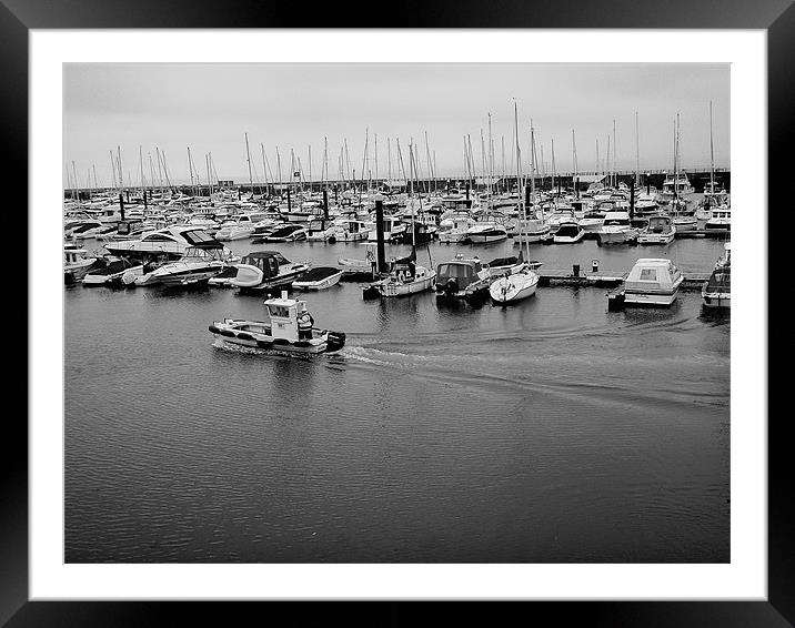 Harbour Master Framed Mounted Print by Colin Richards