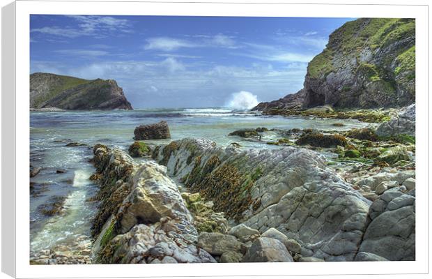 Lulworth Cove Canvas Print by Andrew Roland