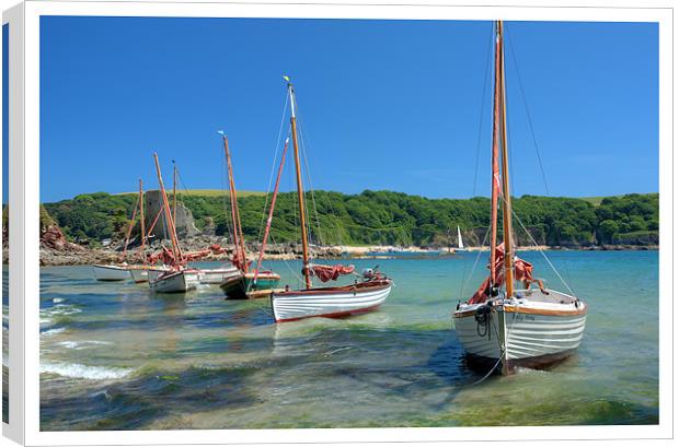Salcombe Canvas Print by Andrew Roland