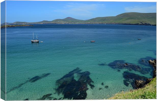 View of the Blasket Islands Canvas Print by barbara walsh