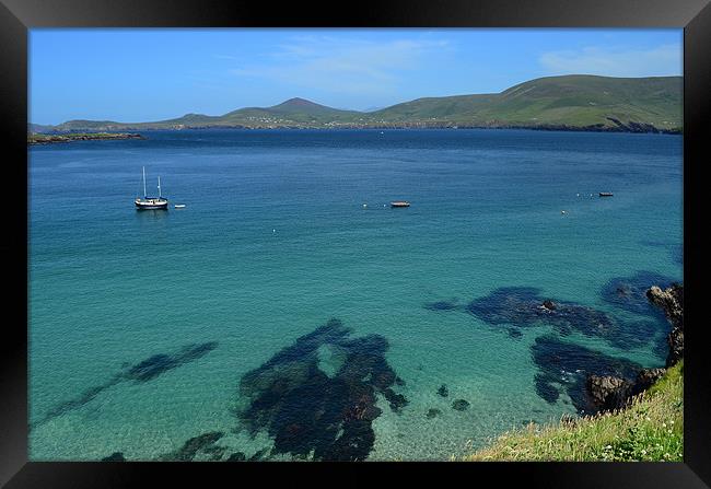 View of the Blasket Islands Framed Print by barbara walsh