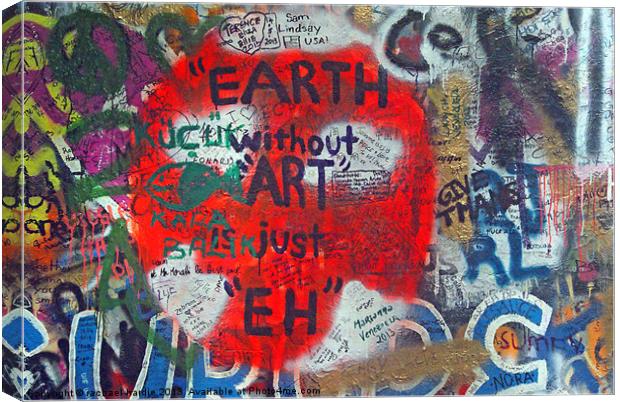 earth without art is just eh Canvas Print by rachael hardie