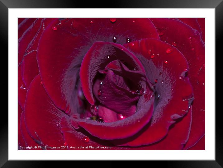 Rose Water Framed Mounted Print by Phil Emmerson