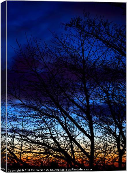 Winter Trees Canvas Print by Phil Emmerson