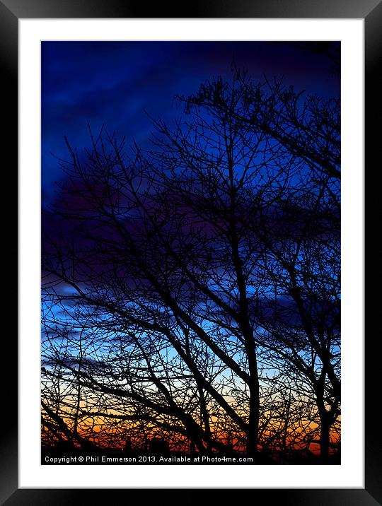 Winter Trees Framed Mounted Print by Phil Emmerson