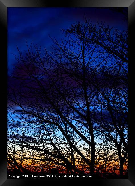 Winter Trees Framed Print by Phil Emmerson
