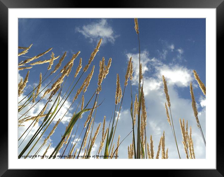Touch the Sky1 Framed Mounted Print by Pics by Jody Adams