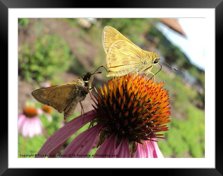 Share Framed Mounted Print by Pics by Jody Adams