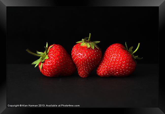 Three Strawberries On Black Framed Print by Alan Harman