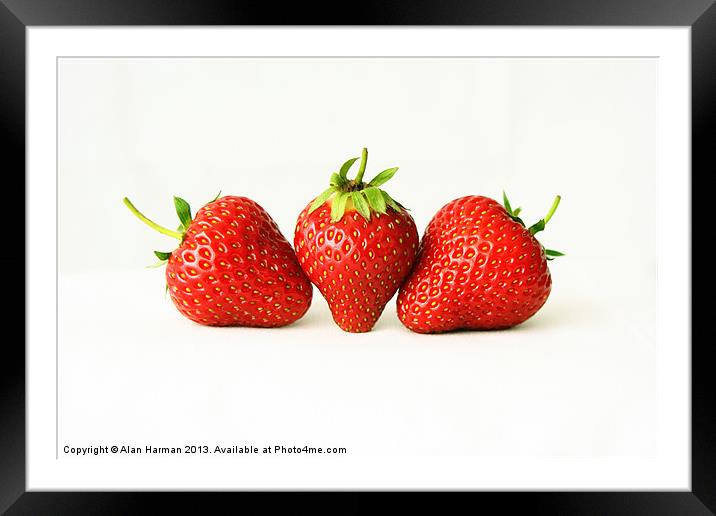 Three Strawberries On White Framed Mounted Print by Alan Harman