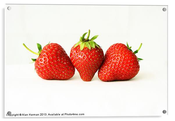 Three Strawberries On White Acrylic by Alan Harman
