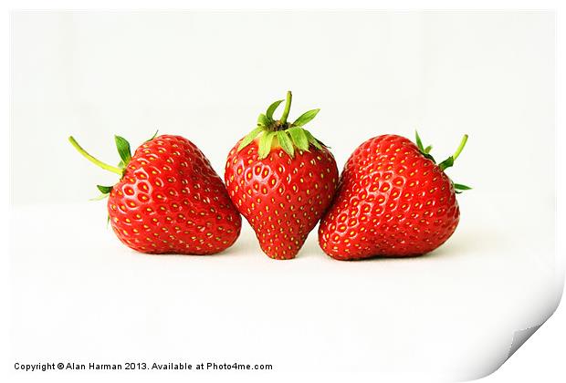 Three Strawberries On White Print by Alan Harman