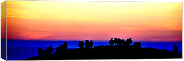 Shepherds view of Donegal Canvas Print by Peter Lennon