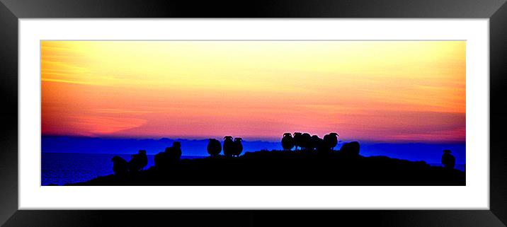 Shepherds view of Donegal Framed Mounted Print by Peter Lennon