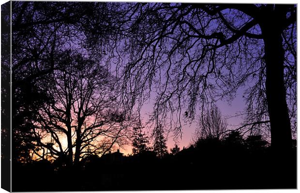Sunset through the trees Canvas Print by Rosie Spooner