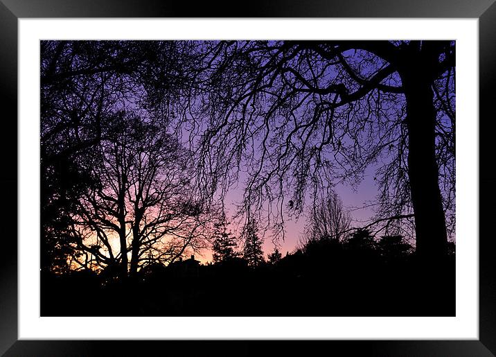 Sunset through the trees Framed Mounted Print by Rosie Spooner