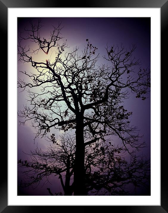 Mystic shadows Framed Mounted Print by Colin Richards