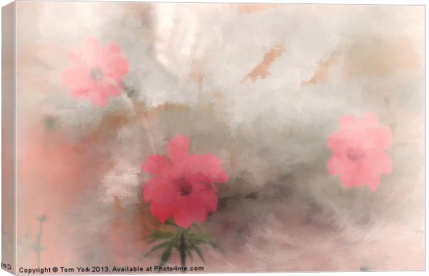 PINK FLORAL ABSTRACT Canvas Print by Tom York