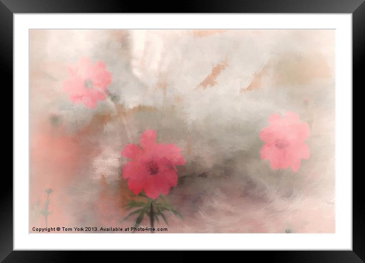 PINK FLORAL ABSTRACT Framed Mounted Print by Tom York