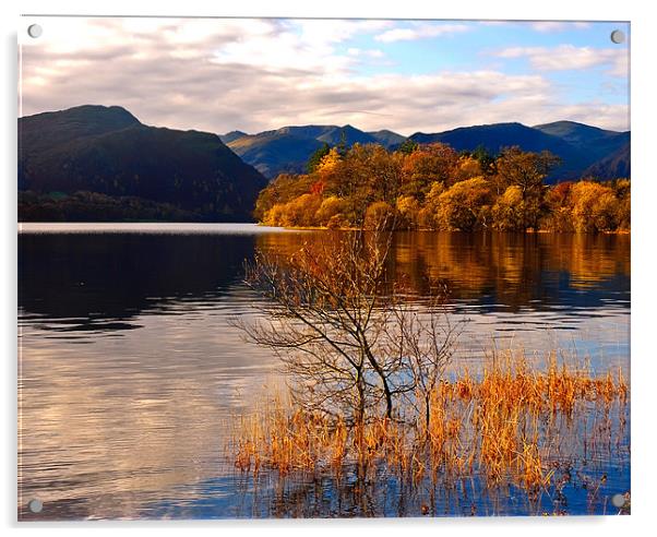 Golden Pond Acrylic by eric carpenter