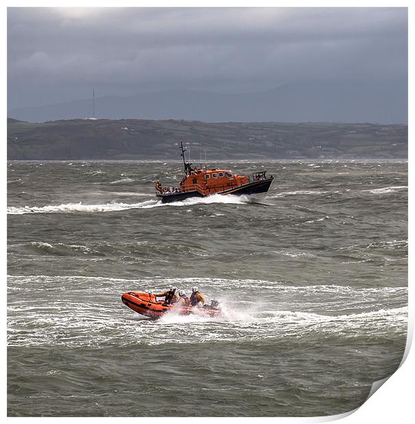 2 Lifeboats Print by Gail Johnson