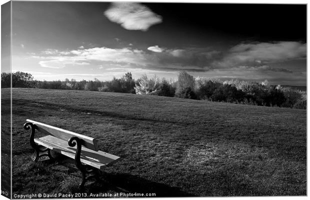 The Bench Canvas Print by David Pacey