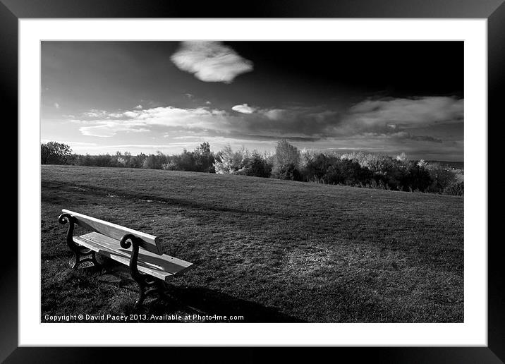 The Bench Framed Mounted Print by David Pacey