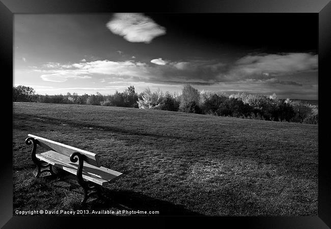 The Bench Framed Print by David Pacey