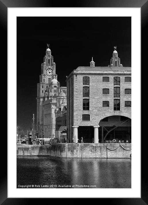 Albert dock and Liver building Framed Mounted Print by Rob Lester