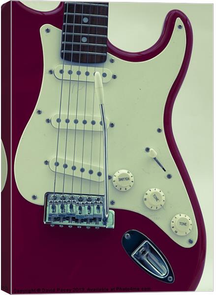 Electric Guitar Canvas Print by David Pacey
