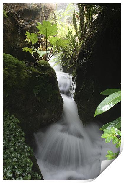 Timeless Water Print by lindsey Marsh