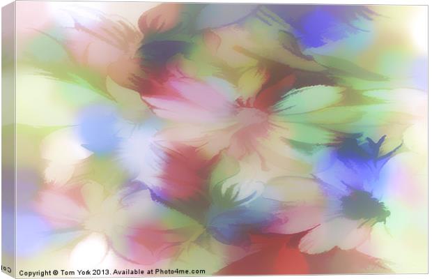 DAISY FLORAL ABSTRACT Canvas Print by Tom York