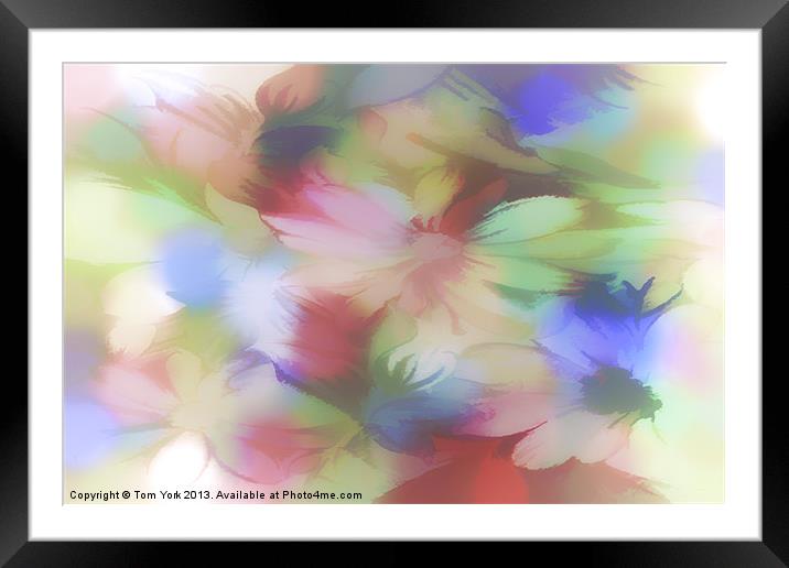 DAISY FLORAL ABSTRACT Framed Mounted Print by Tom York