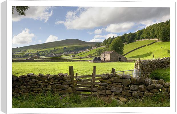 Gunnerside Canvas Print by Andrew Roland