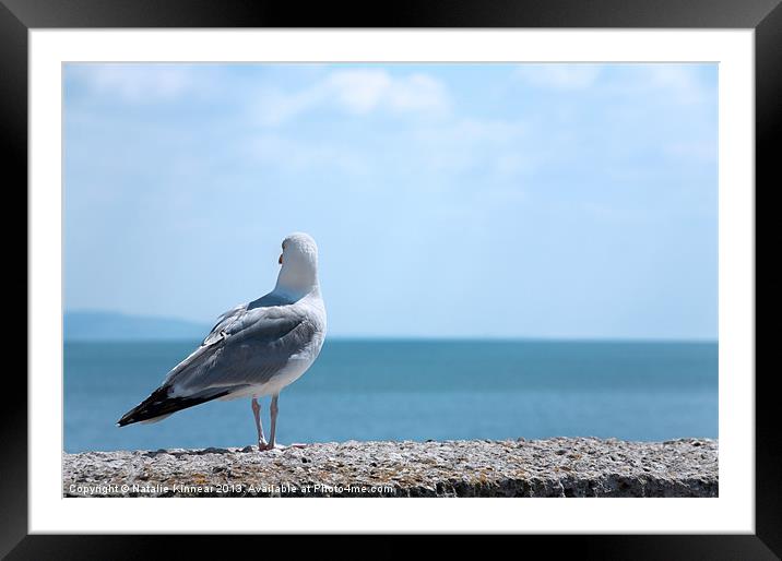 Seagull Looking Out to Sea Framed Mounted Print by Natalie Kinnear