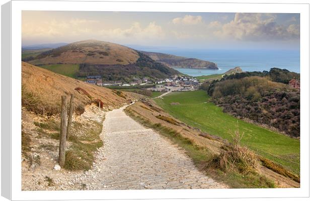 West Lulworth Canvas Print by Andrew Roland