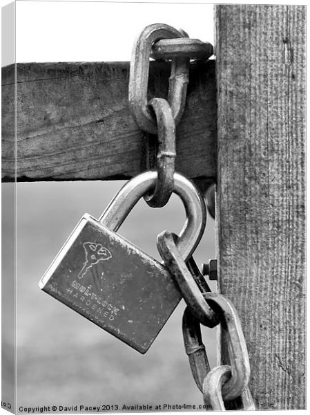 Chain & Lock Canvas Print by David Pacey