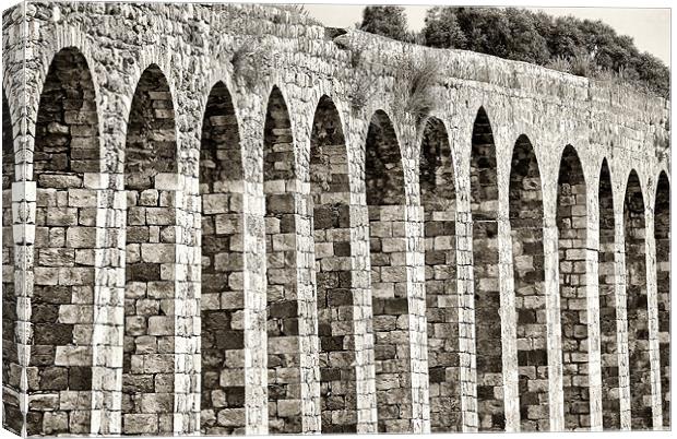 Roman Aqueduct Canvas Print by Mary Lane