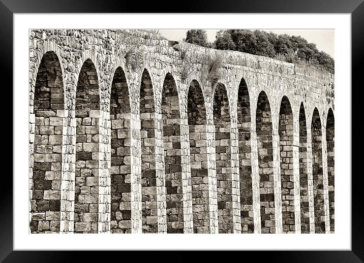 Roman Aqueduct Framed Mounted Print by Mary Lane
