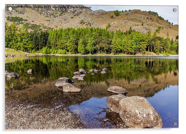 Blea Tarn Lake District Acrylic by Trevor Kersley RIP